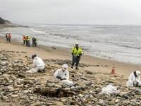 Training Course on Shoreline Cleanup Assessment Techniques (SCAT)